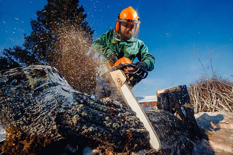 stump removal