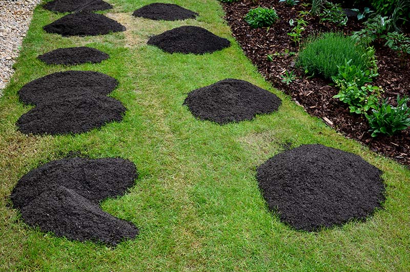 lawn with soil